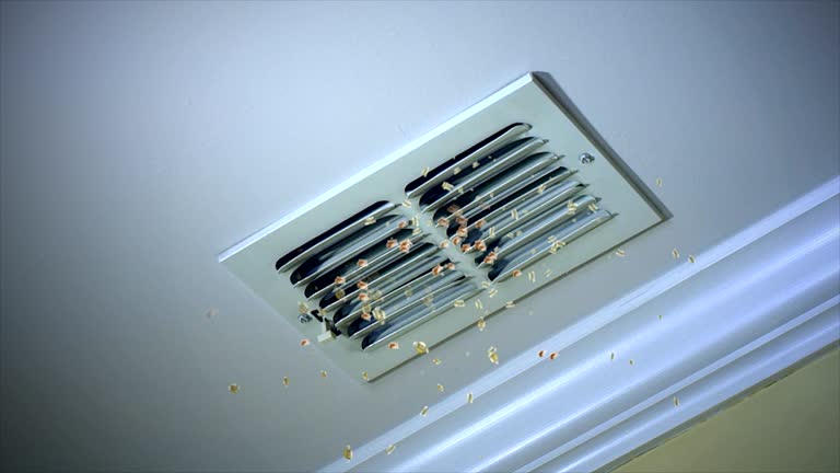 Best HVAC System Cleaning  in Speers, PA